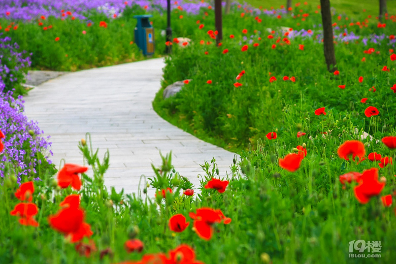 醉美临海伟星城江滨公园