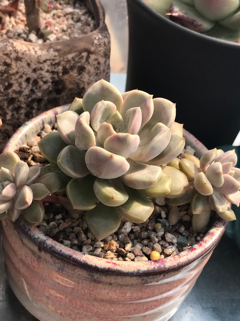 ���ں���ļ�ֵ��ϲ����ı���