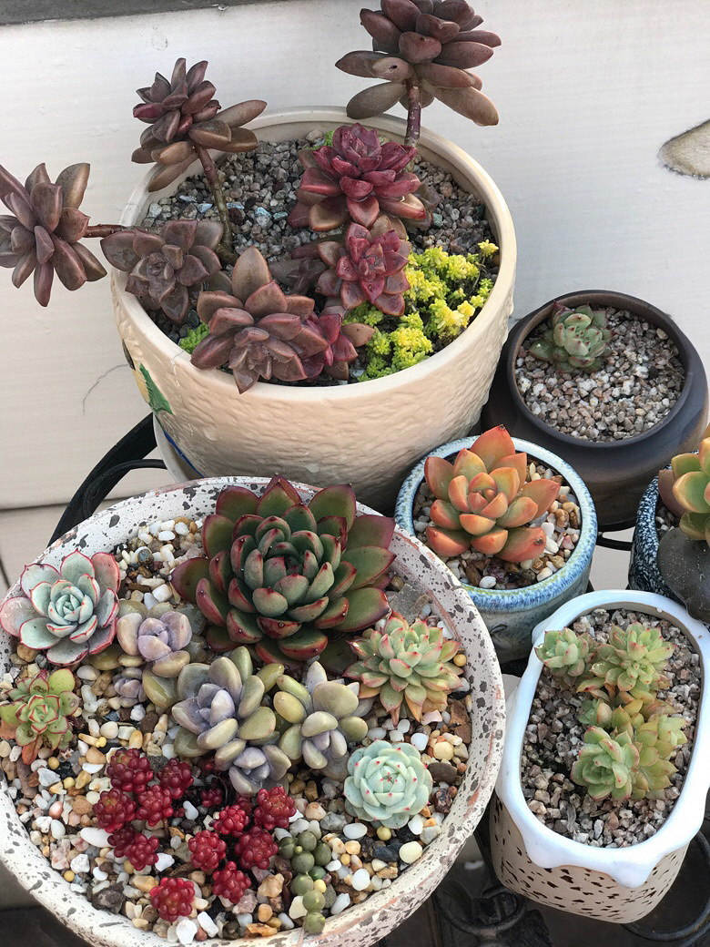 ���ں���ļ�ֵ��ϲ����ı���