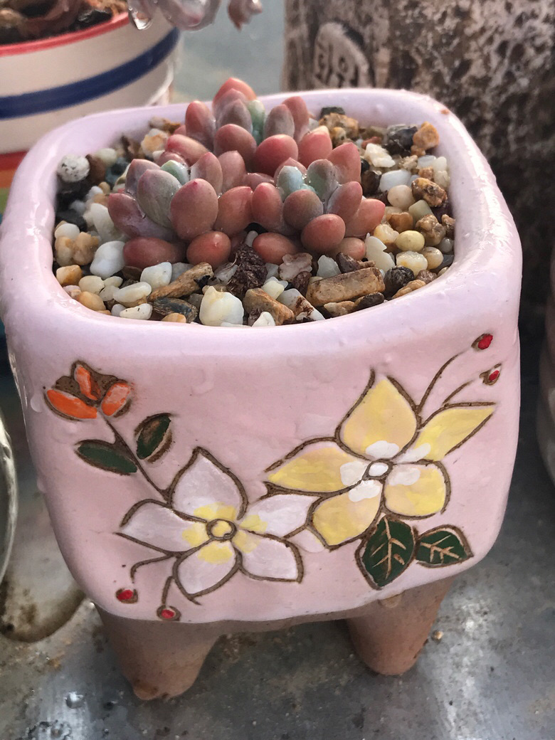 ���ں���ļ�ֵ��ϲ����ı���