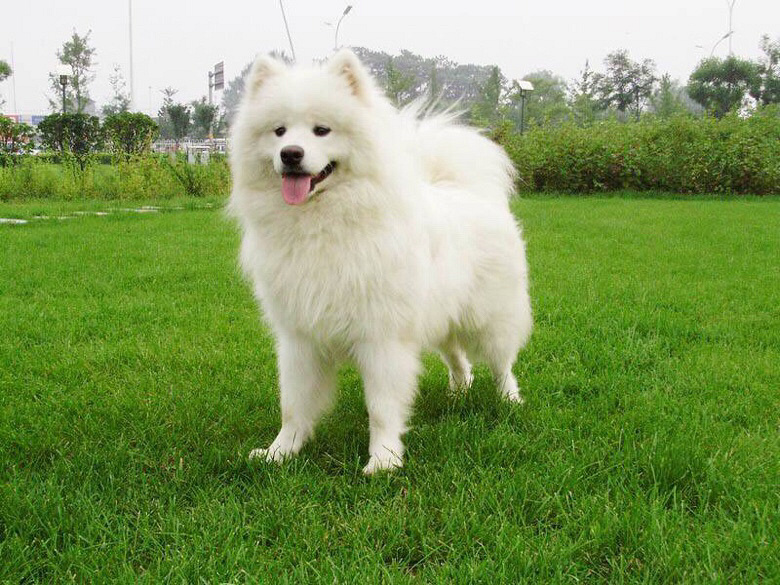 ��ʹ�ͼ�ת������Ħ