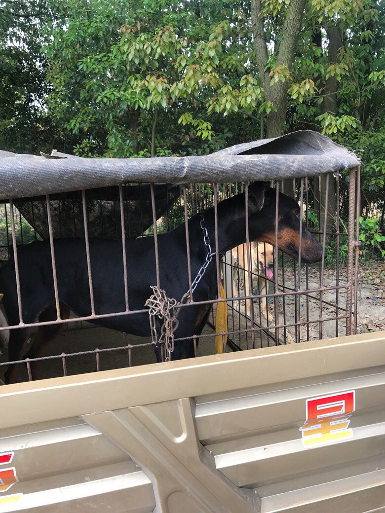 ���չ���