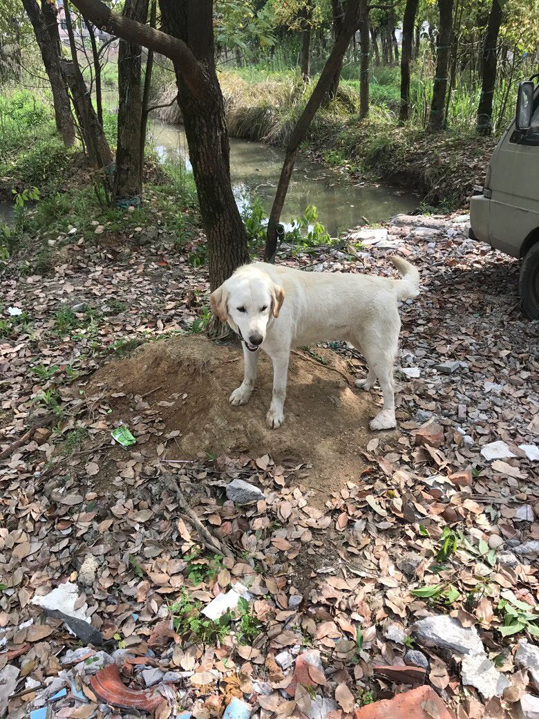 ���չ���