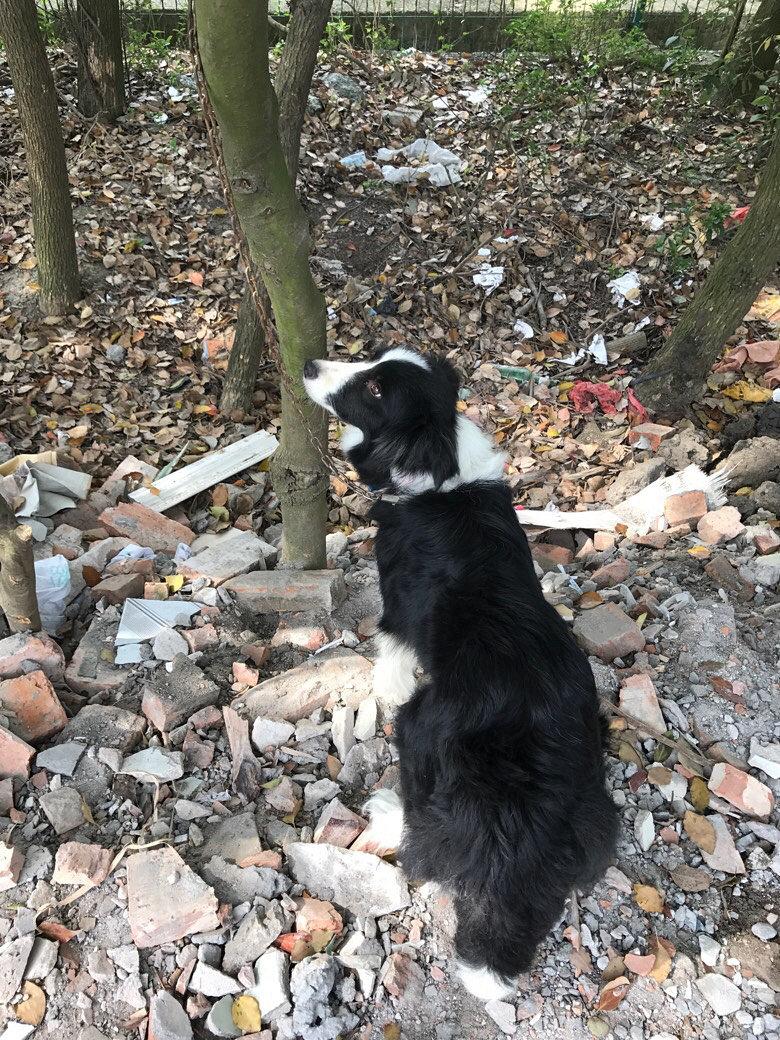 ���չ���