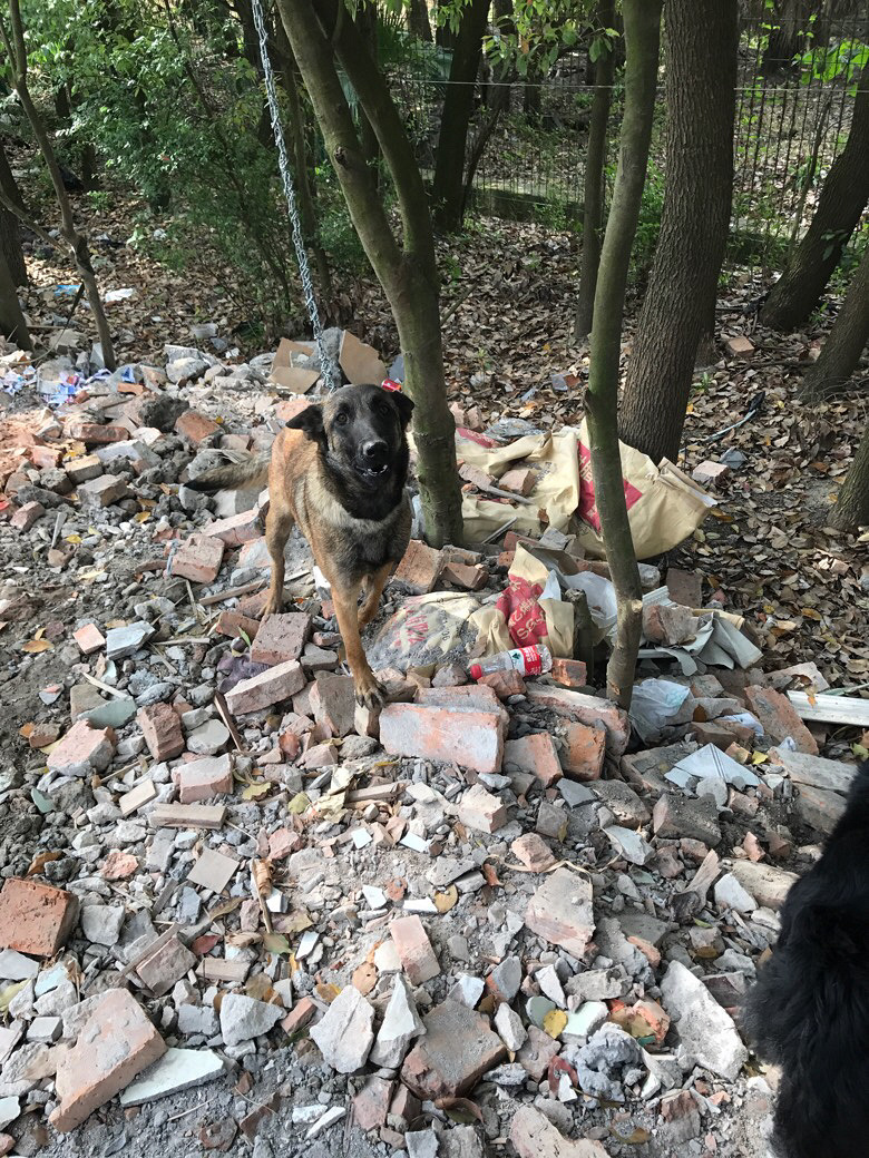 ���չ���