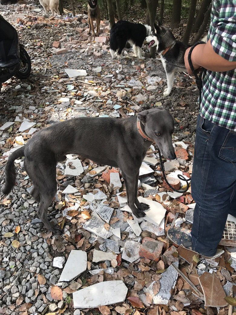 ���չ���