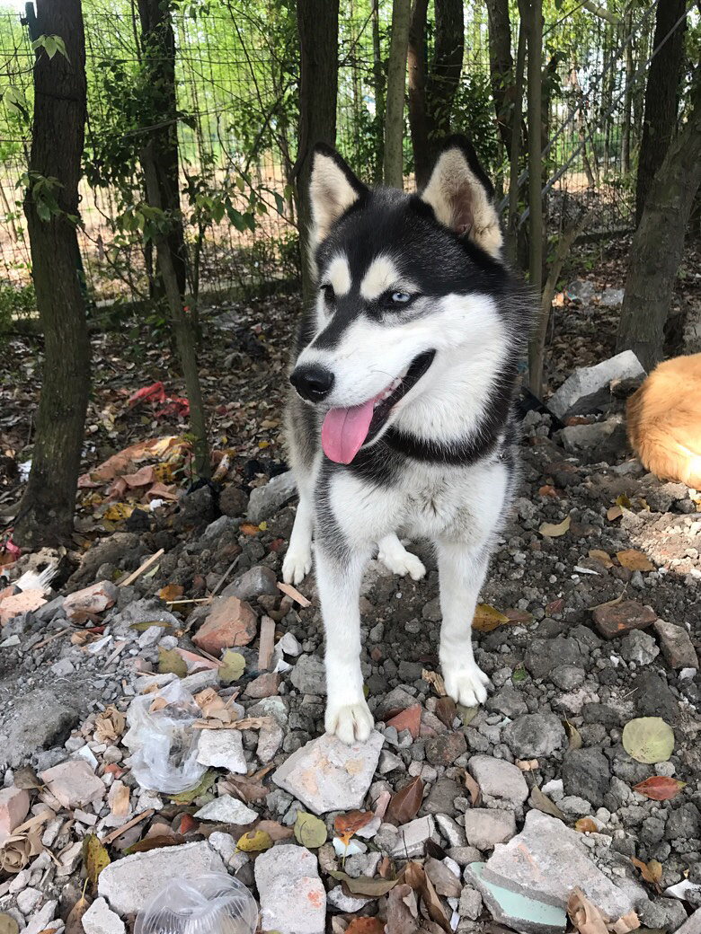 ���չ���