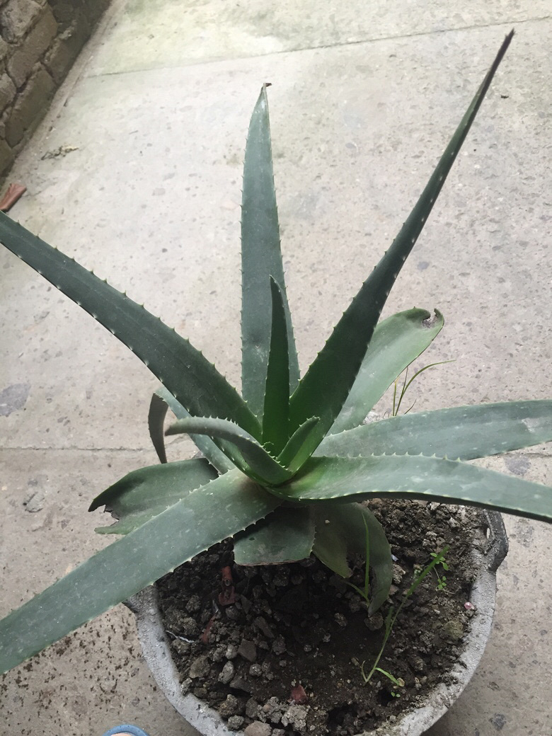 ��Ϊʲô������ѿ