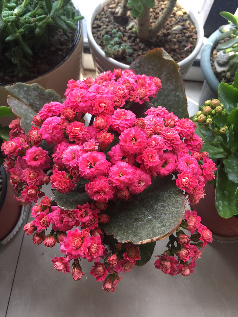 ������޵�