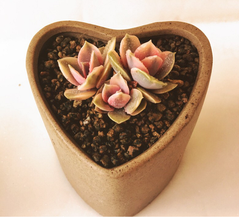 �Ҽҵ�����