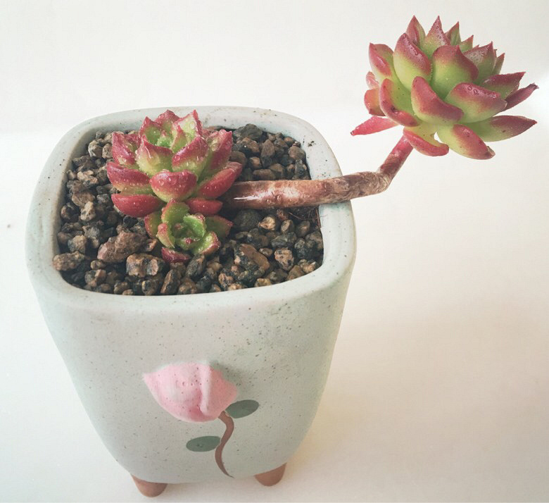 �Ҽҵ�����