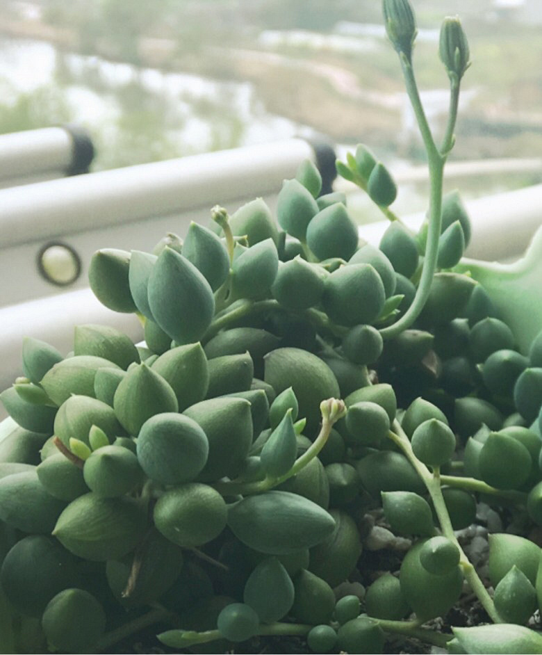 �Ҽҵ�����