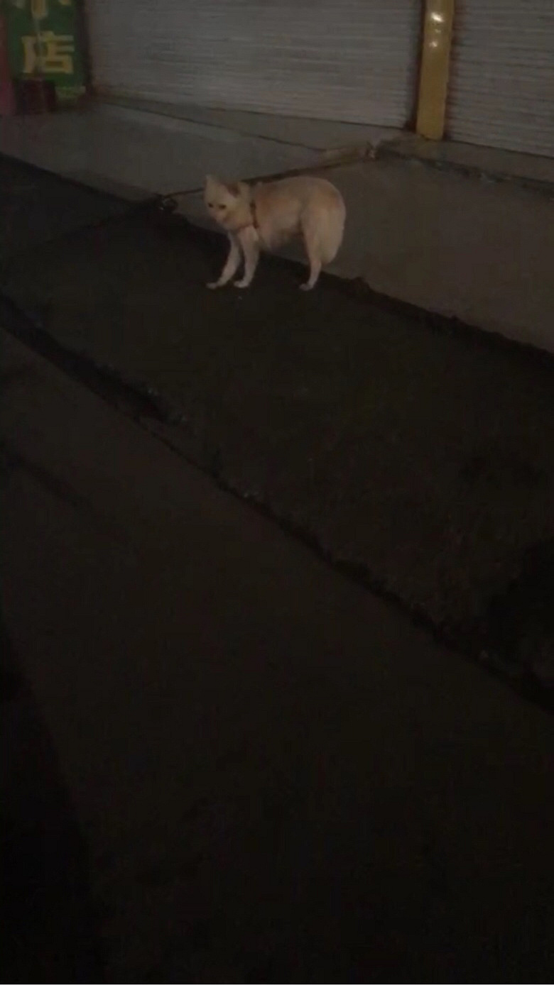 ·�Ų��г�˭�ҹ����ˣ�