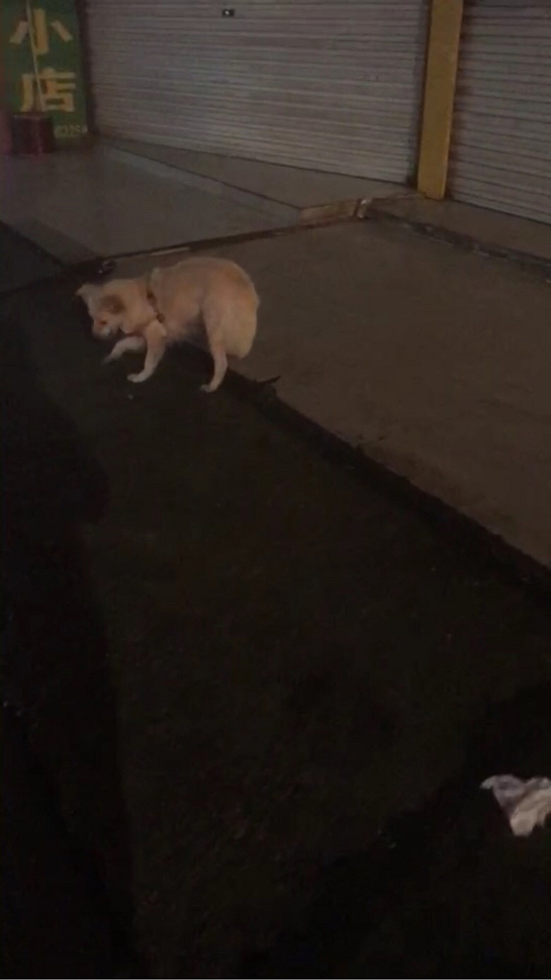 ·�Ų��г�˭�ҹ����ˣ�