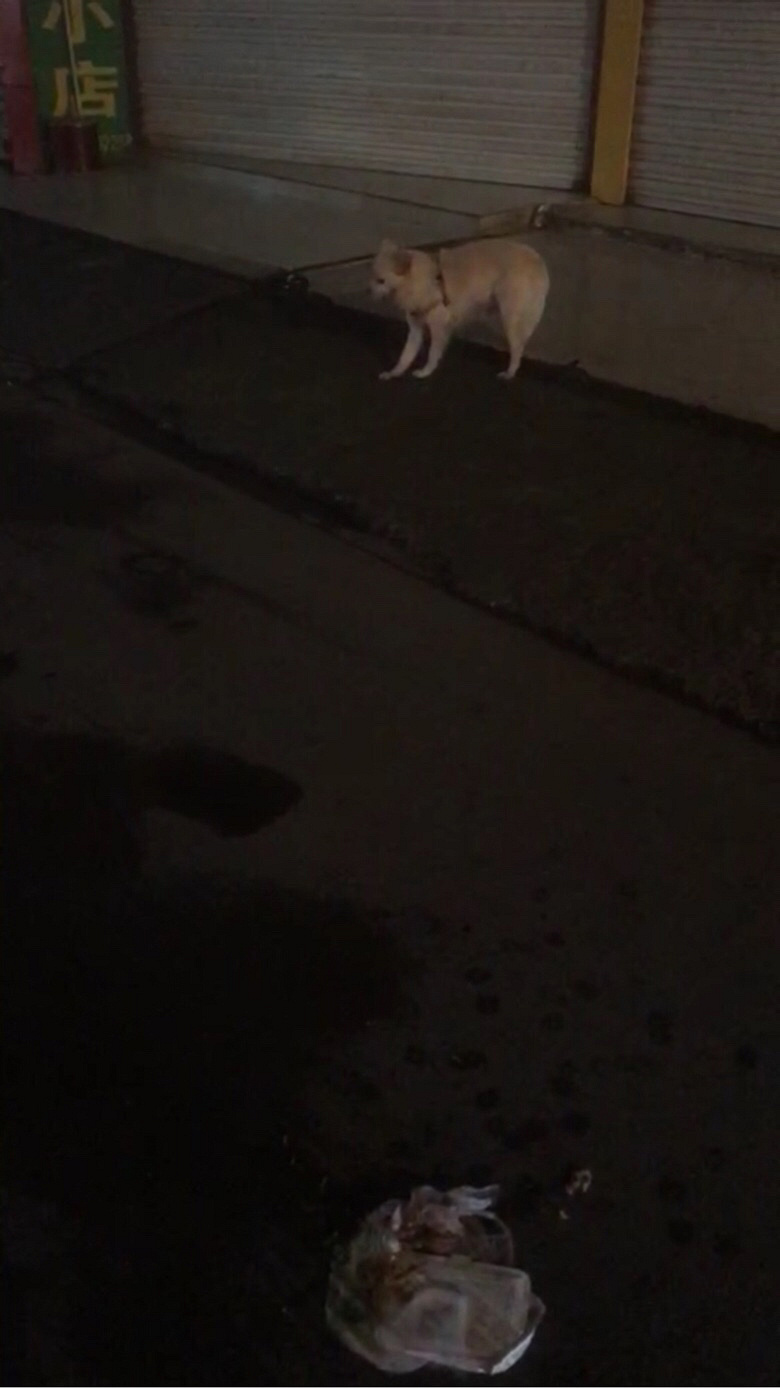 ·�Ų��г�˭�ҹ����ˣ�