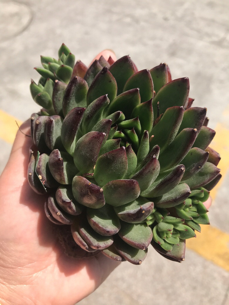 ���ŵ��⵽��