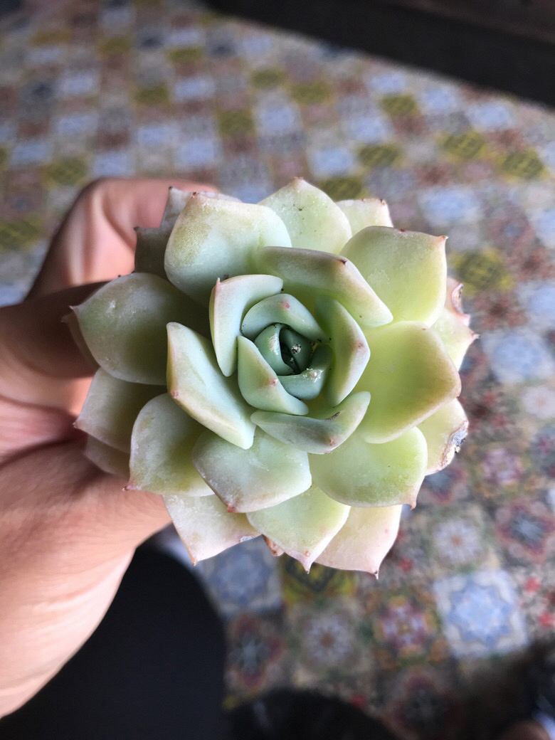 ���ŵ��⵽��