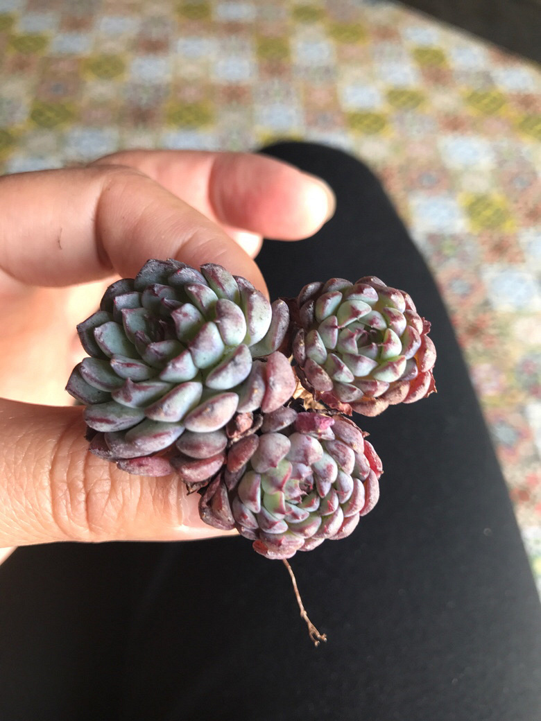 ���ŵ��⵽��