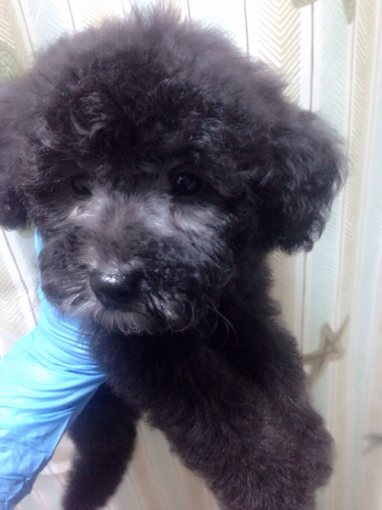 ������Ʒ�Ұ׻��󣬻ҹ����¼�