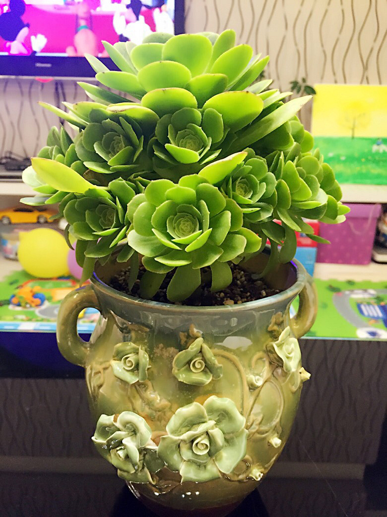 �°ܵ��⣨�����ޣ��ں죩