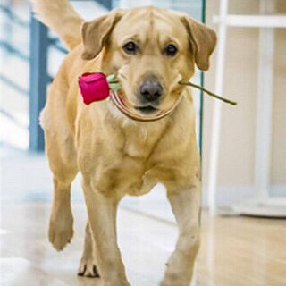 ��û��˭����Ȥ��ֻ��������С�̹�