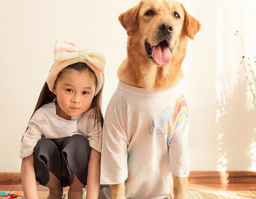 ��û��˭����Ȥ��ֻ��������С�̹�