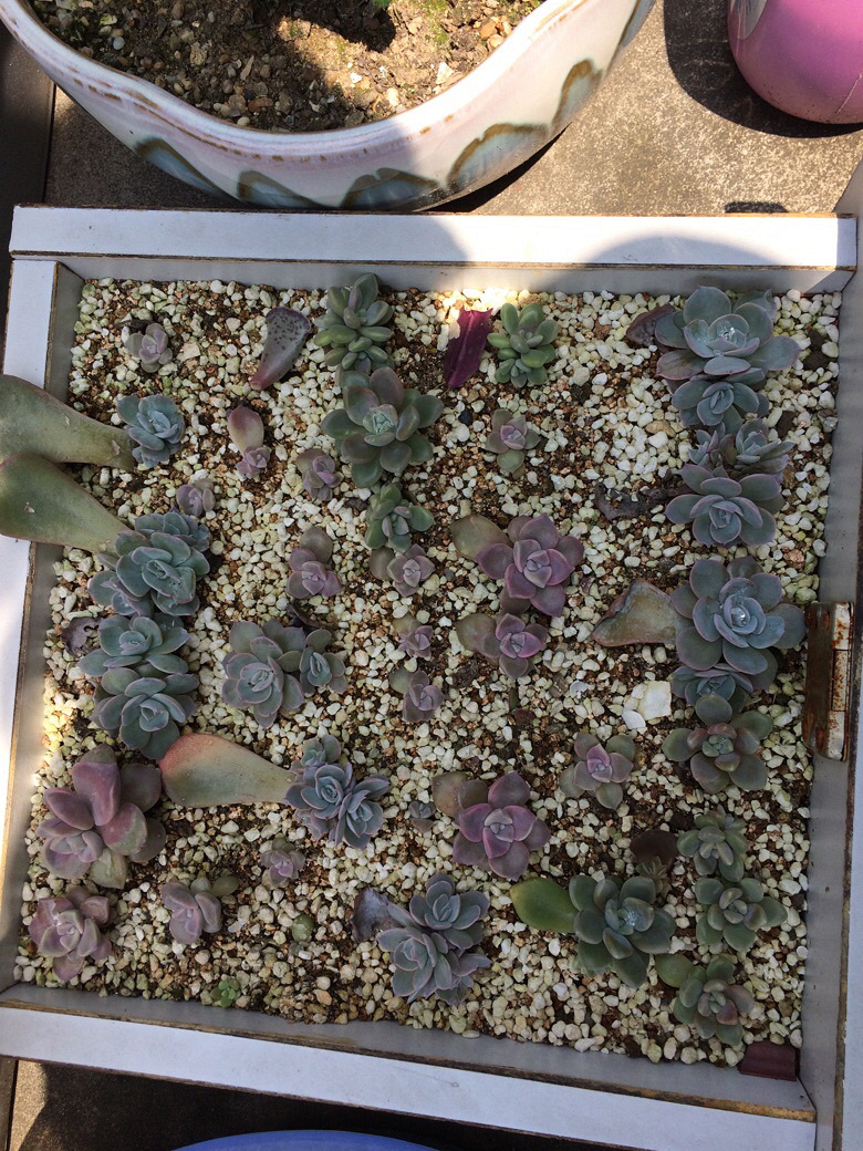 ���⼰�����ݲ�