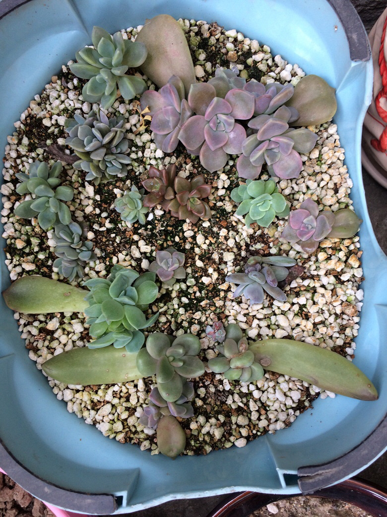 ���⼰�����ݲ�