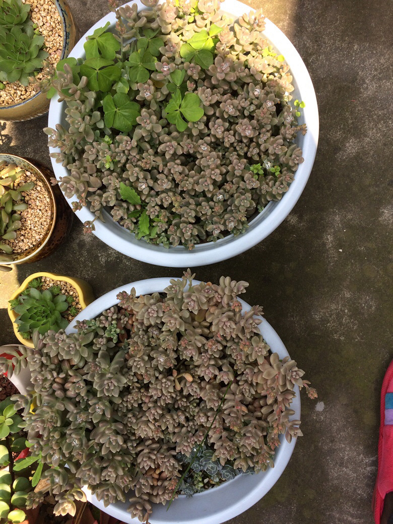 ���⼰�����ݲ�