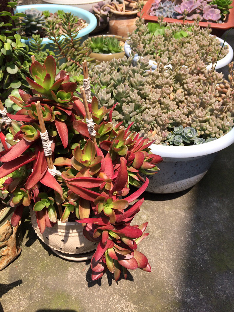 ���⼰�����ݲ�