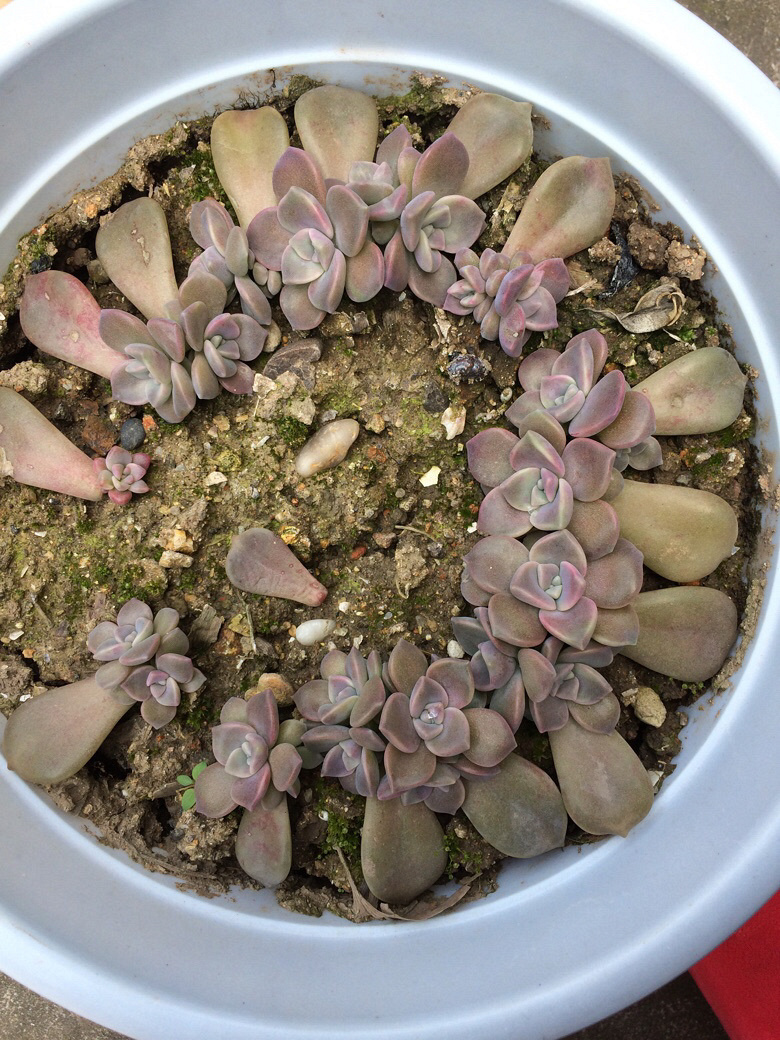 ���⼰�����ݲ�