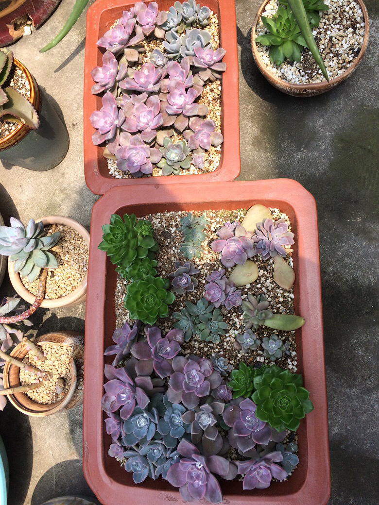 ���⼰�����ݲ�