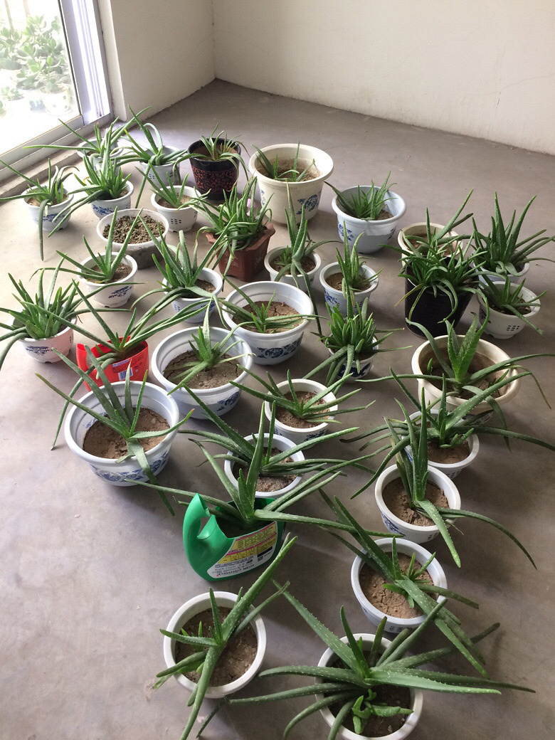 ��������