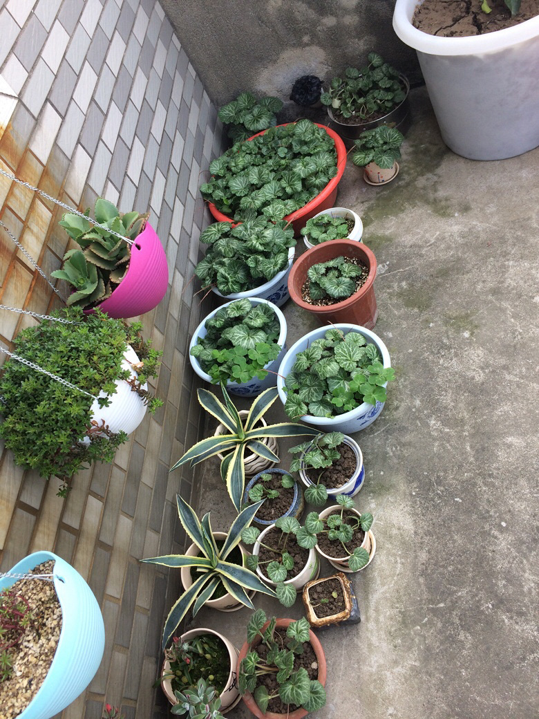 ��������