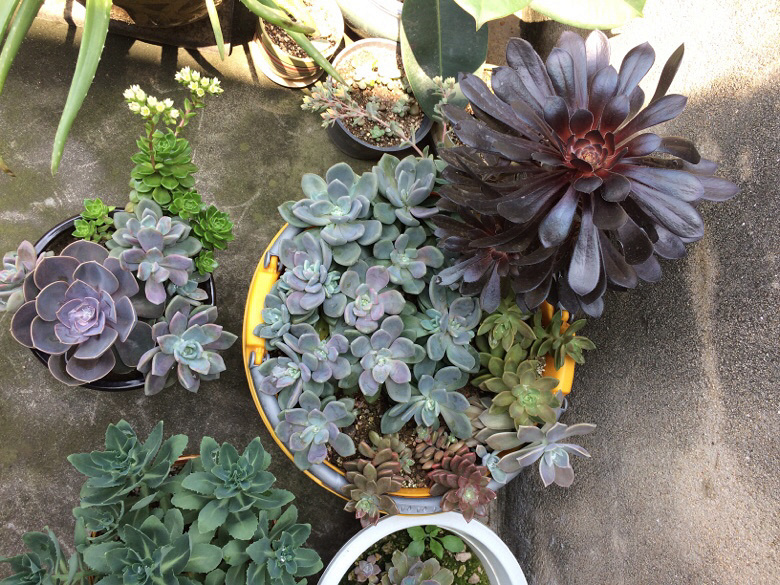 ���⼰�����ݲ�