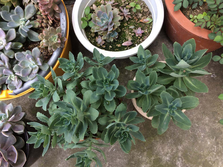 ���⼰�����ݲ�