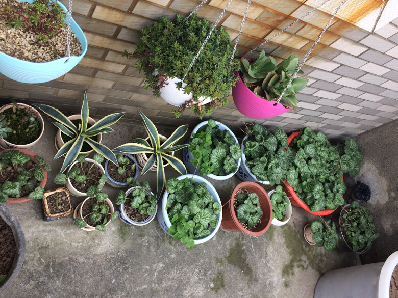 ���⼰�����ݲ�