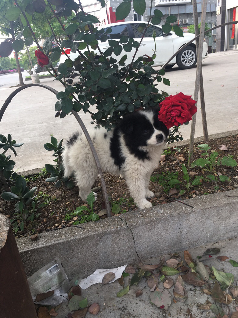 40���С����������