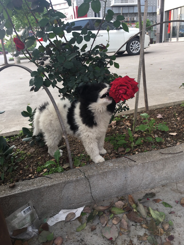 40���С����������