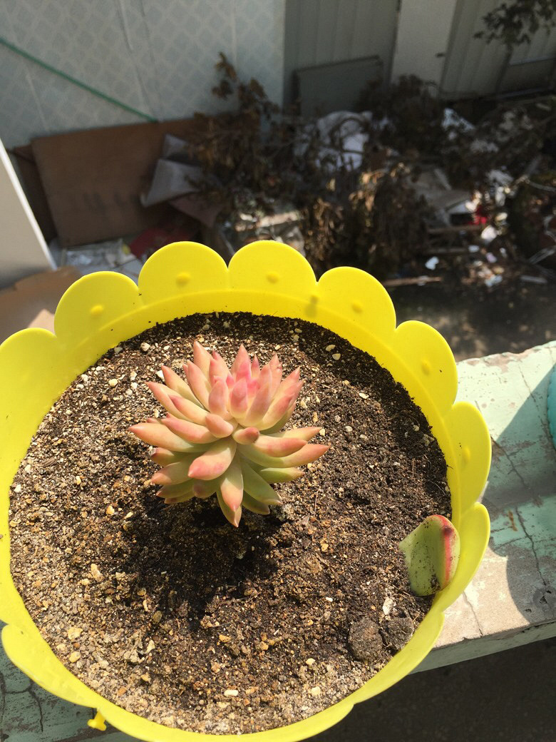 �ҼҵĶ���ö����ˡ������е������