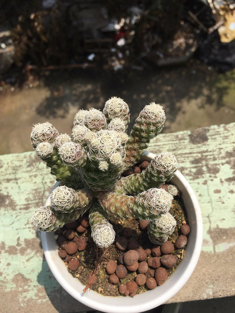 �ҼҵĶ���ö����ˡ������е������