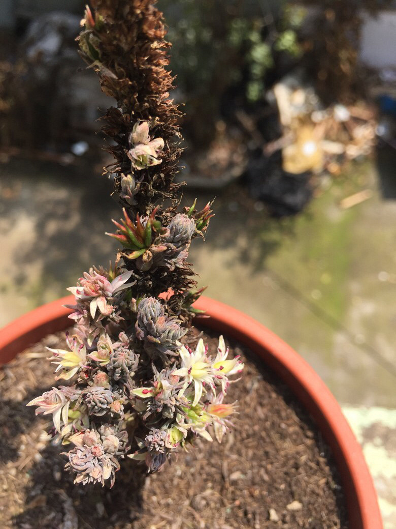 �ҼҵĶ���ö����ˡ������е������