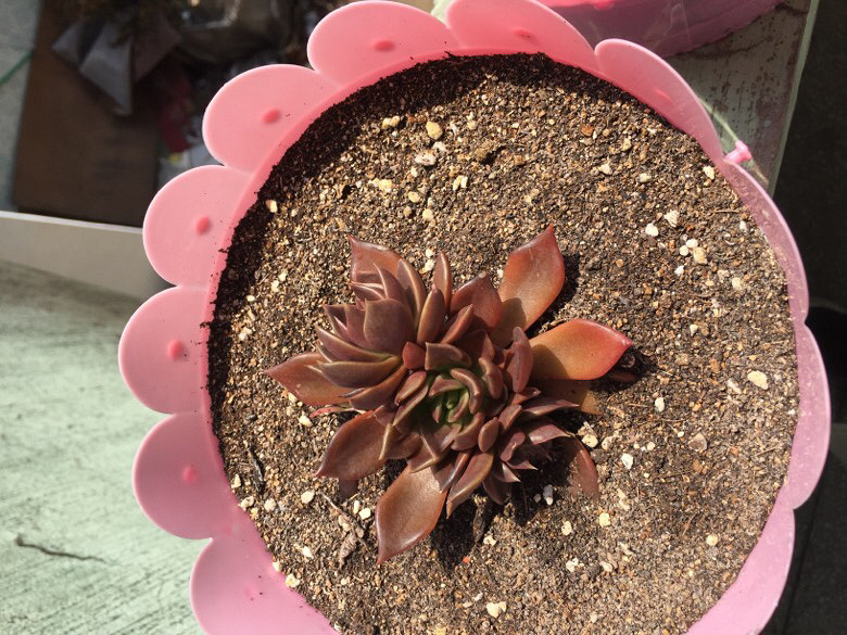 �ҼҵĶ���ö����ˡ������е������