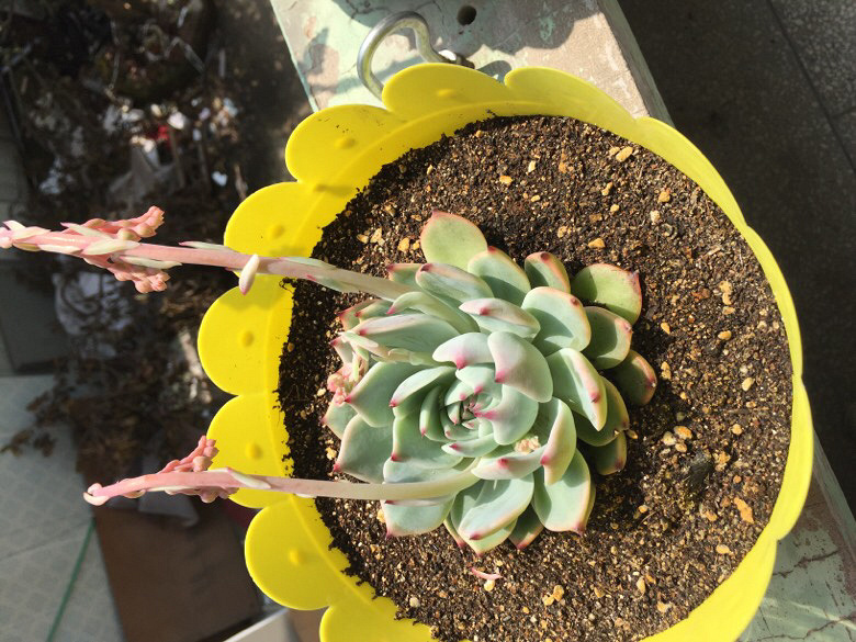 �ҼҵĶ���ö����ˡ������е������