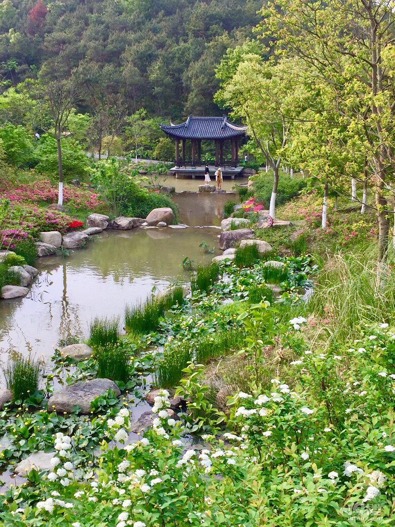 温岭植物园