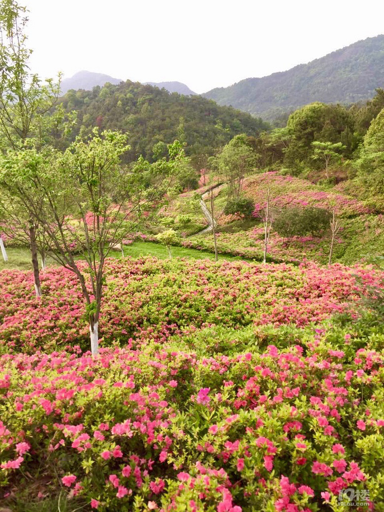 温岭植物园