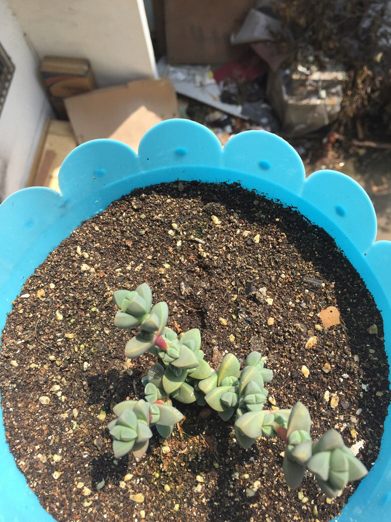 �ҼҵĶ���ö����ˡ������е������