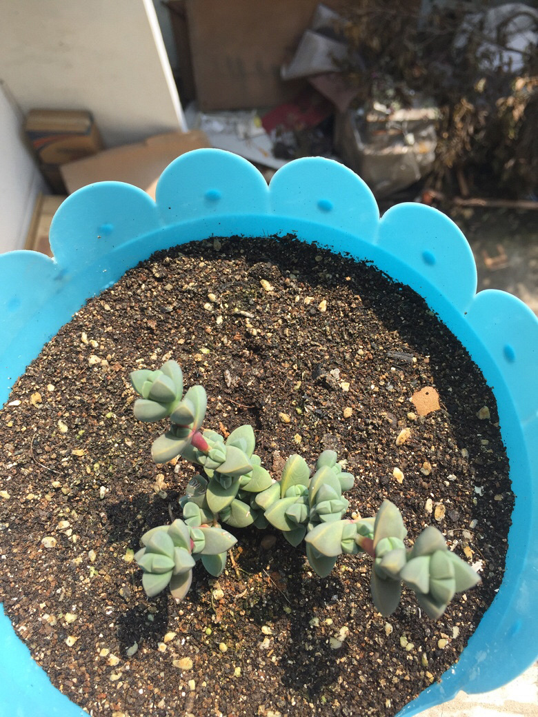 �ҼҵĶ���ö����ˡ������е������