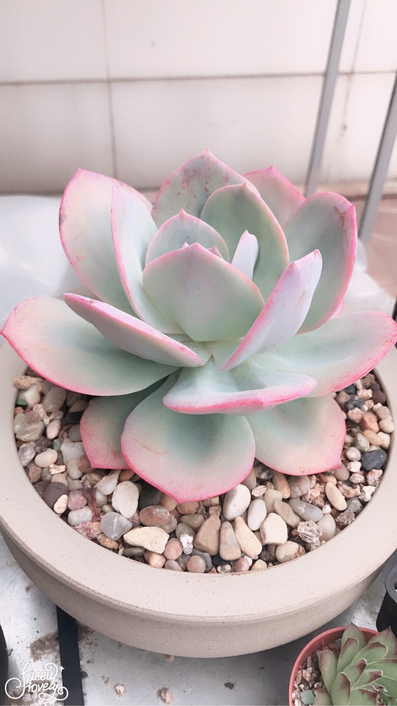 �׷�۷۵ĸ��˺�ϲ��