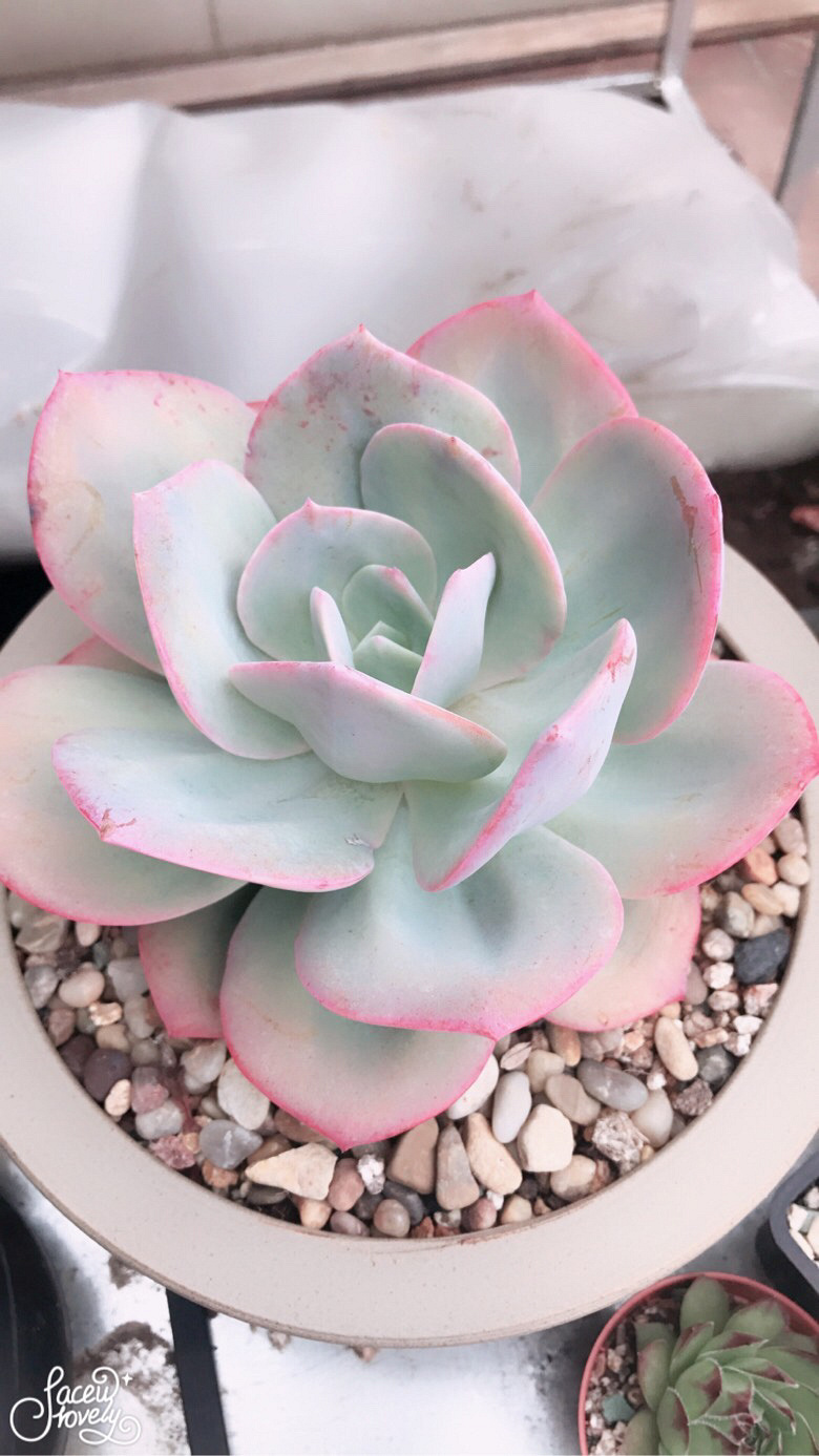 �׷�۷۵ĸ��˺�ϲ��